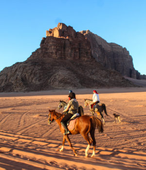 “Baron” Horse Riding In Wadi Rum 4 Days/ 3 Nights